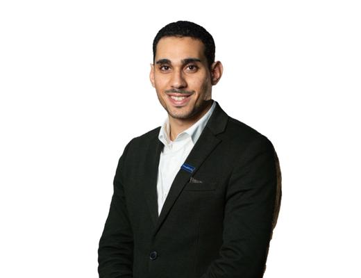 Amr Labeb