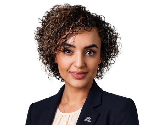 Elham Mostaghimi