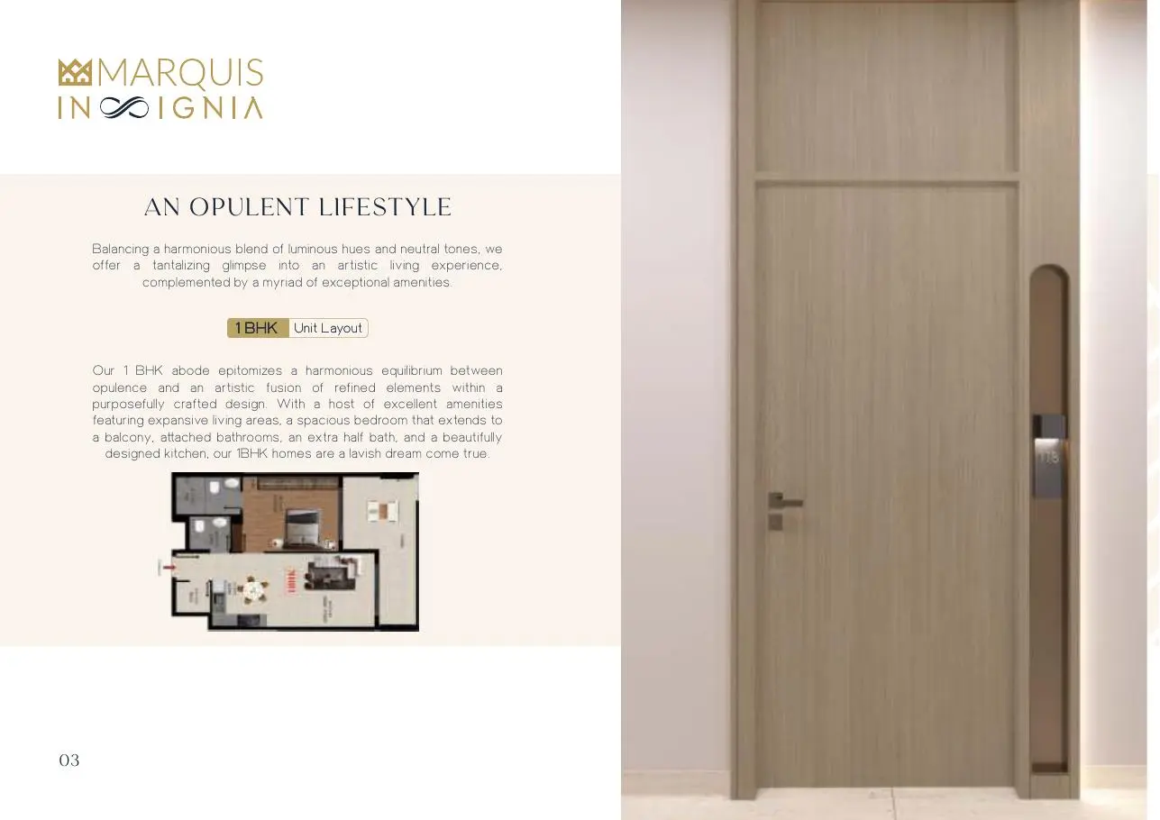 1 BHK unit layout with door photo