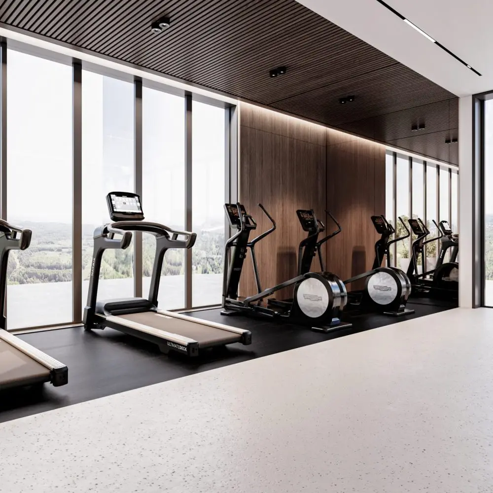 Gym cardio row beside large windows