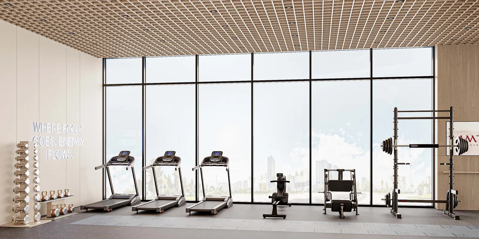Gym with treadmills and a squat rack