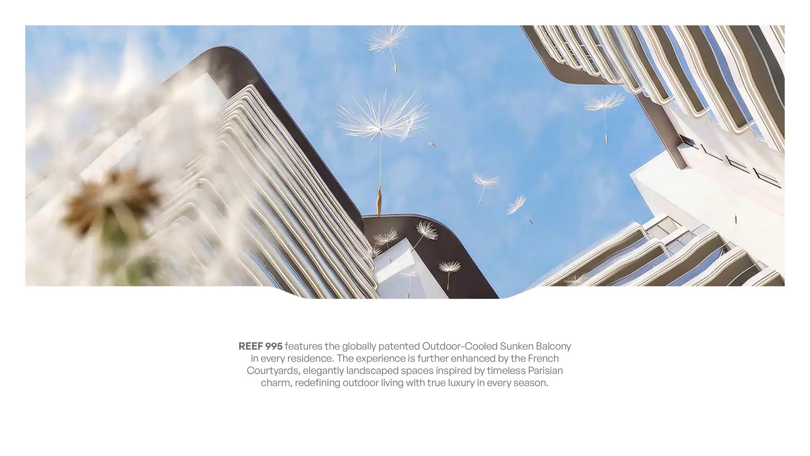 Looking up at curved balcony facades with dandelion seeds