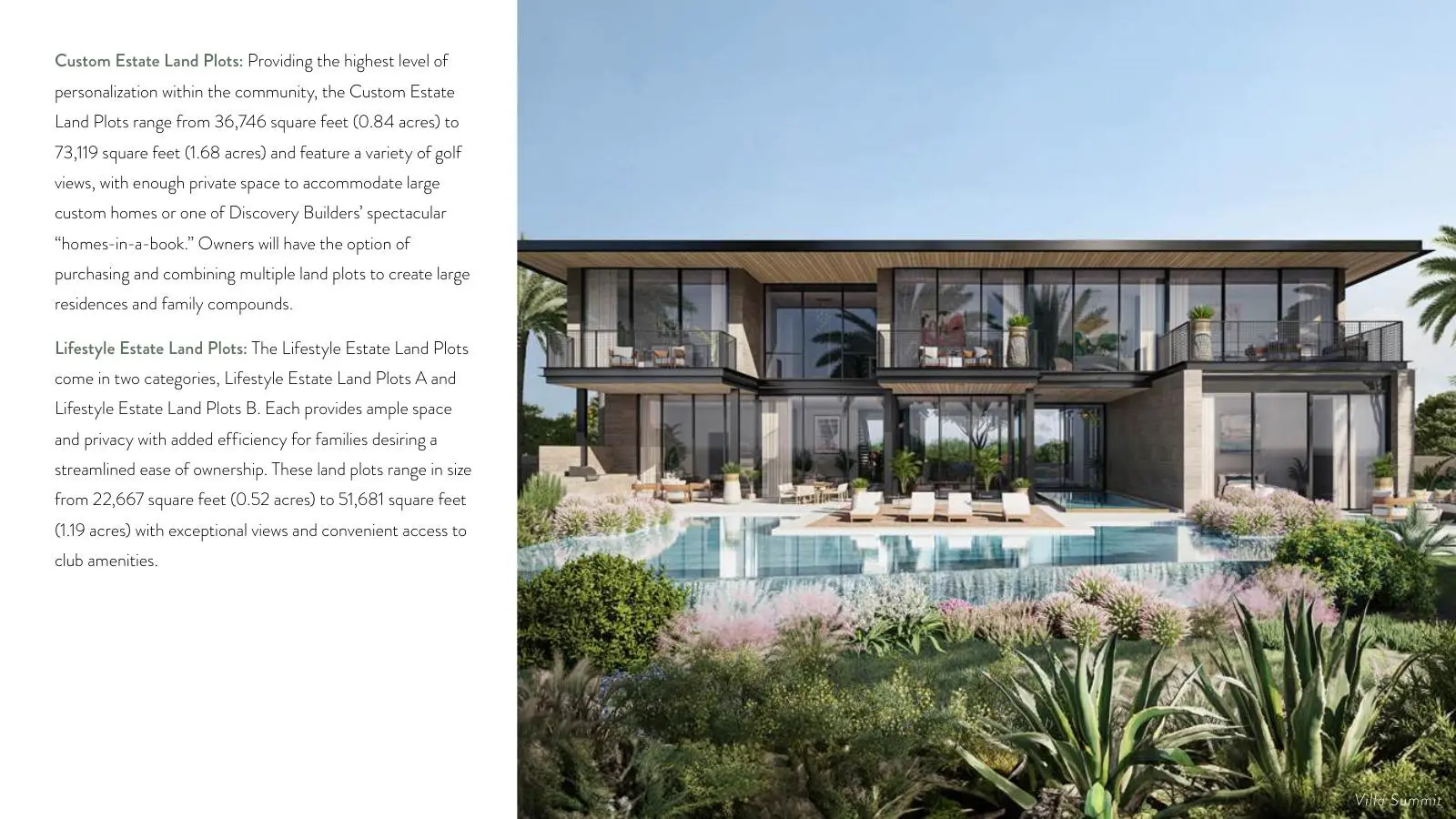 Villa with infinity pool and desert planting