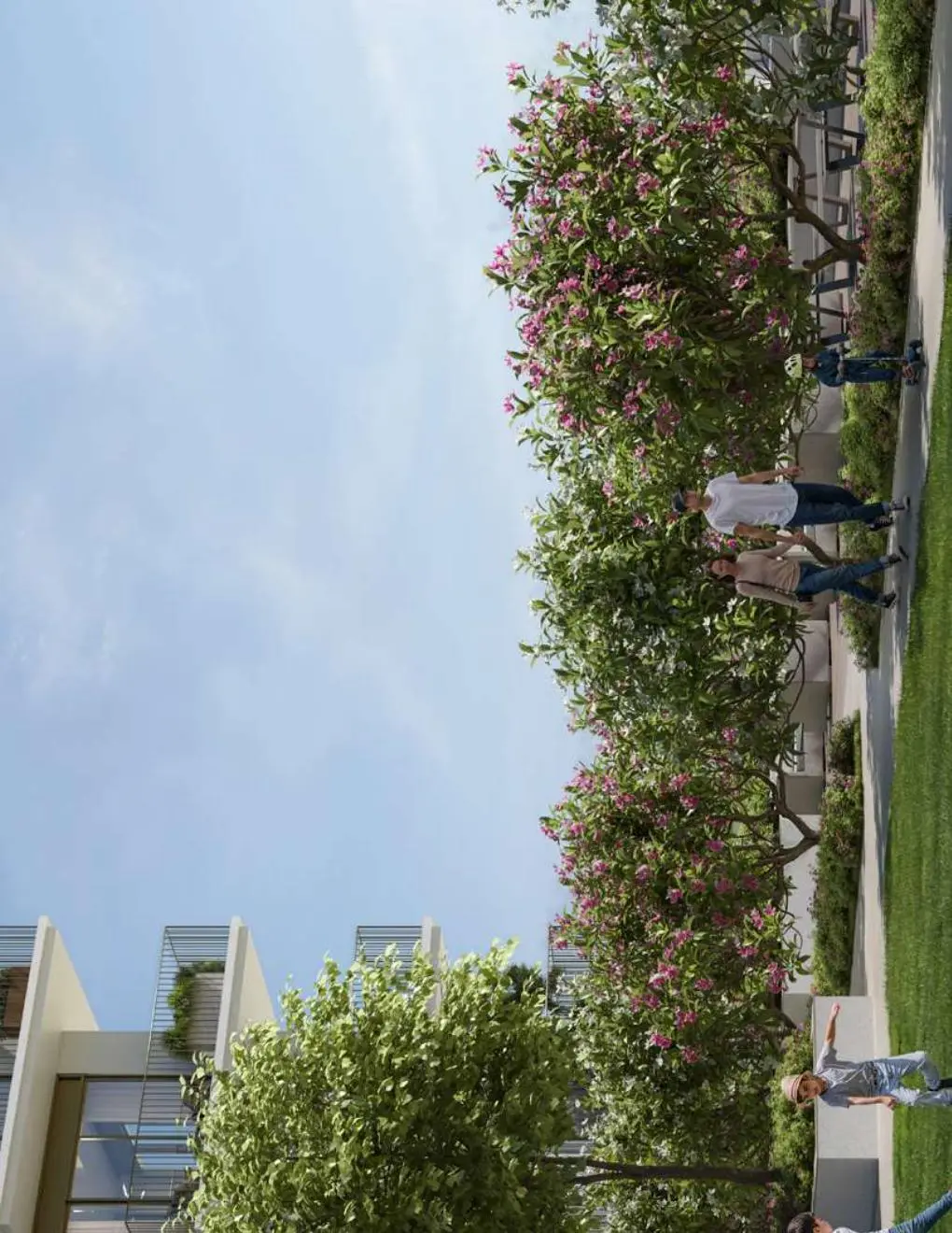 Residents walking among flowering trees beside townhouses