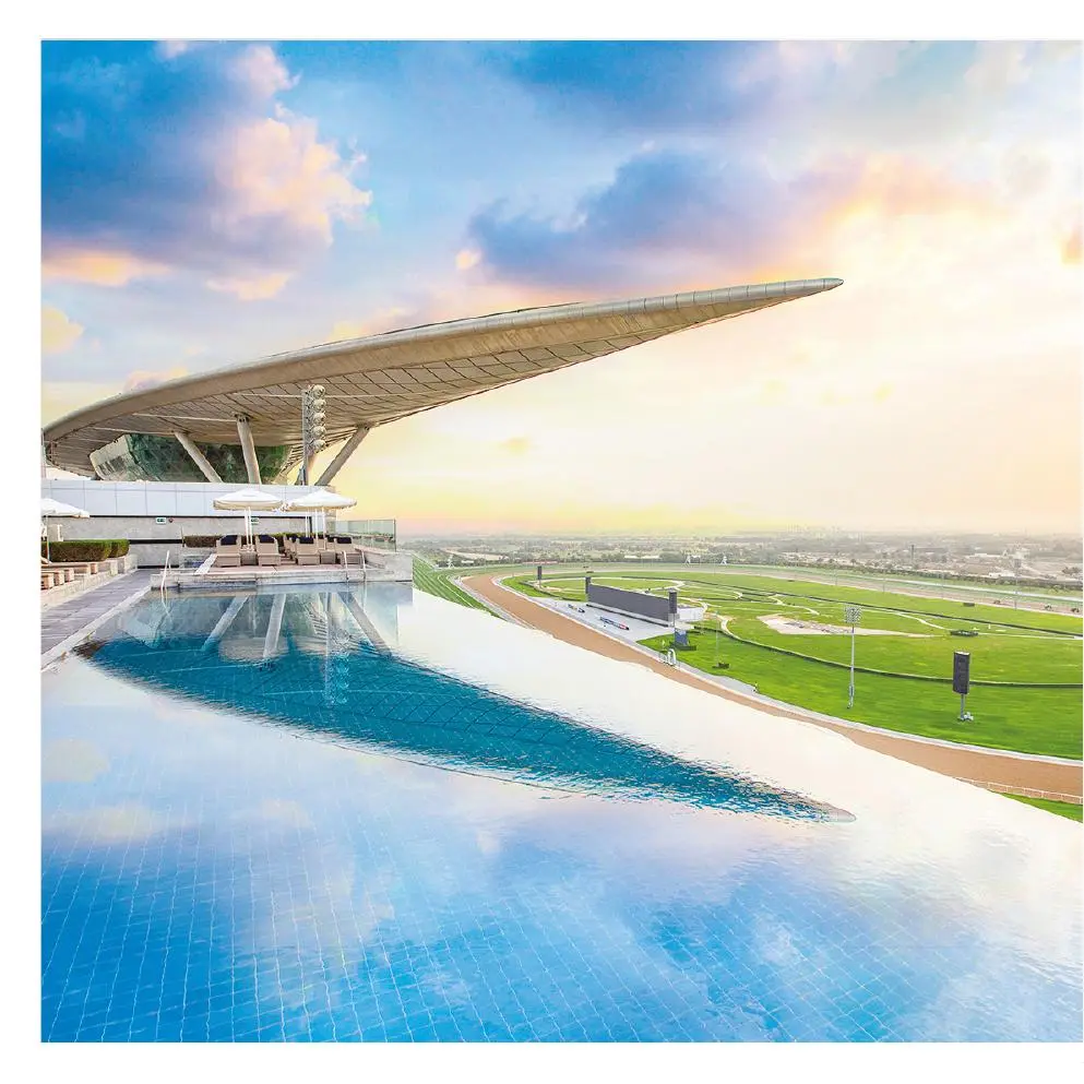 Rooftop infinity pool above the racecourse