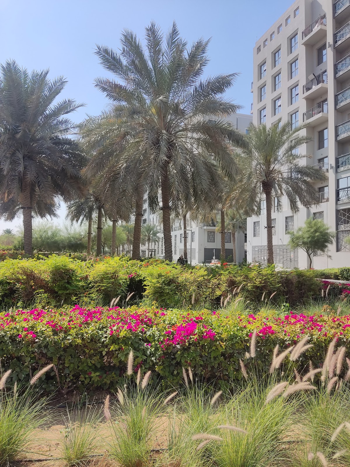 Photo of Safi 2B
